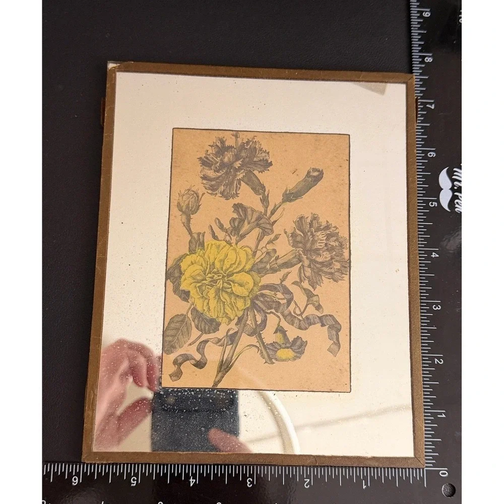 Vintage Botanical Floral Mirror Wall Art Yellow Carnations Rustic READ
